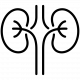 nephrology_17306398 nephrology_17306398